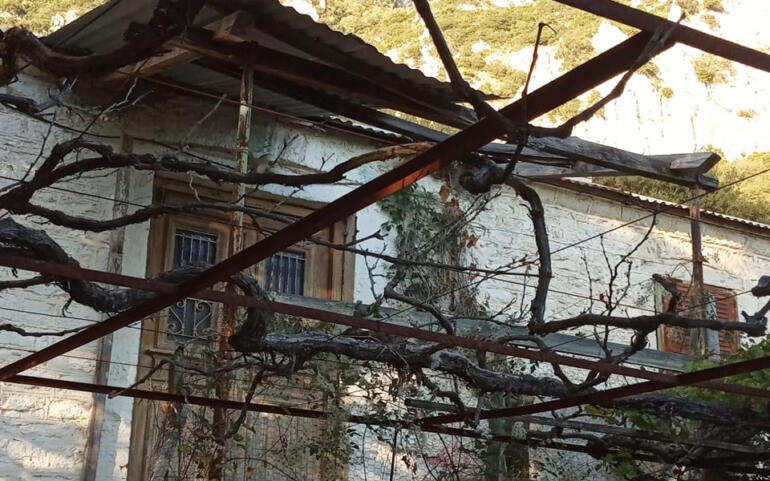 ΜΑΤΙΝΑ Β. ΒΑΤΑΒΑΛΗ