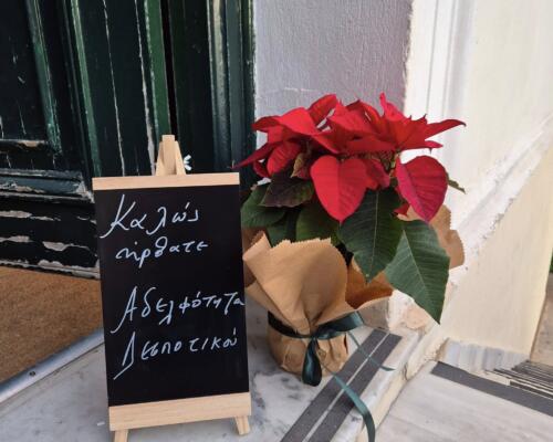 ΚΑΛΩΣ ΗΡΘΑΤΕ